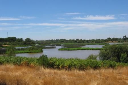 Parcul National Coto Donana, Spania